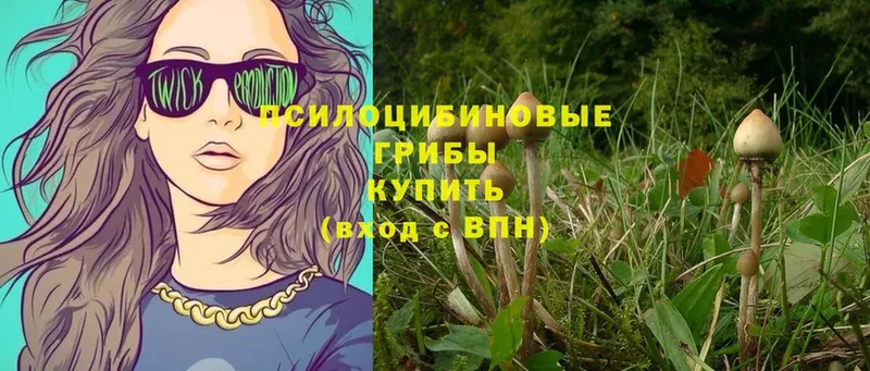 Псилоцибиновые грибы MAGIC MUSHROOMS  blacksprut как войти  Воскресенск 